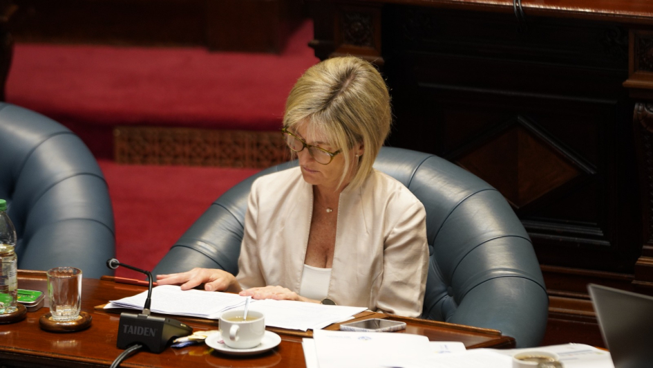Subsecretaria Cra. Gabriela Valverde en Parlamento 