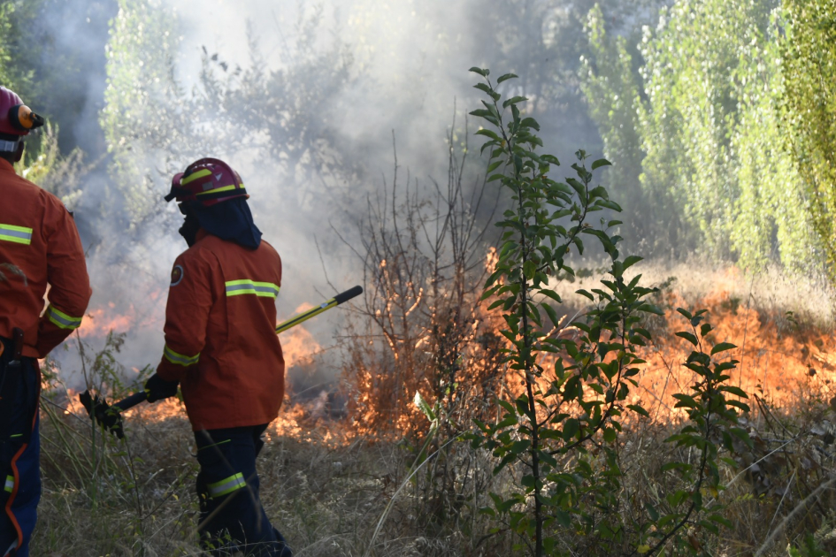 Delegación de bomberos uruguayos en Chile