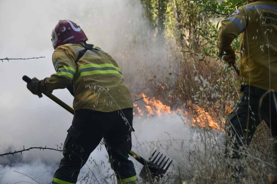 Delegación de bomberos uruguayos en Chile