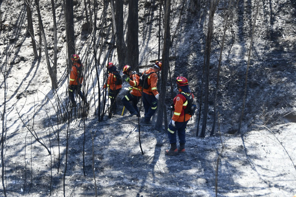 Delegación de bomberos uruguayos en Chile