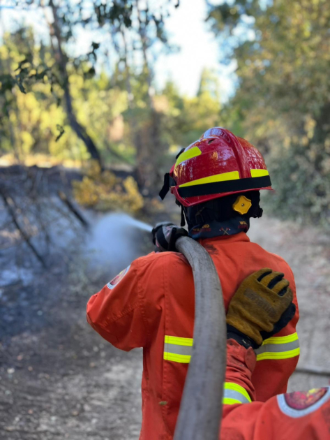 Delegación de bomberos uruguayos en Chile