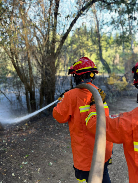 Delegación de bomberos uruguayos en Chile