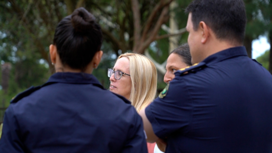 operación Centauro permite donación de los equinos retirados de la vía pública