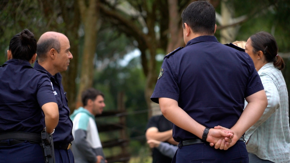 operación Centauro permite donación de los equinos retirados de la vía pública