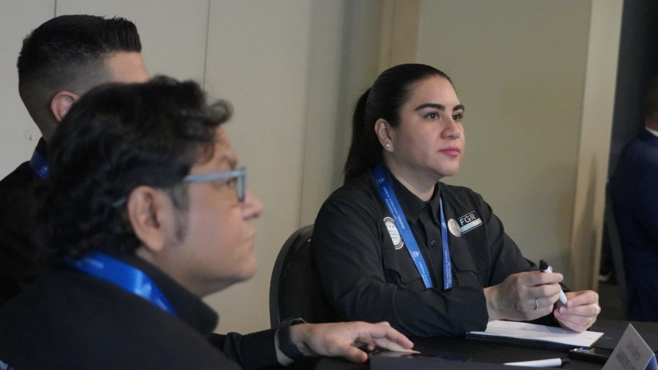 Proyecto Watchmaker: un trabajo continuo y regional