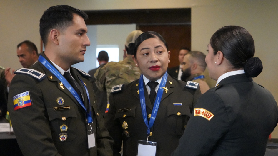 Proyecto Watchmaker: un trabajo continuo y regional