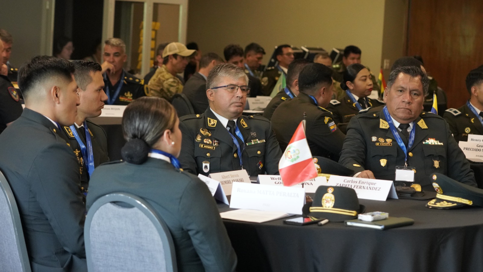 Proyecto Watchmaker: un trabajo continuo y regional