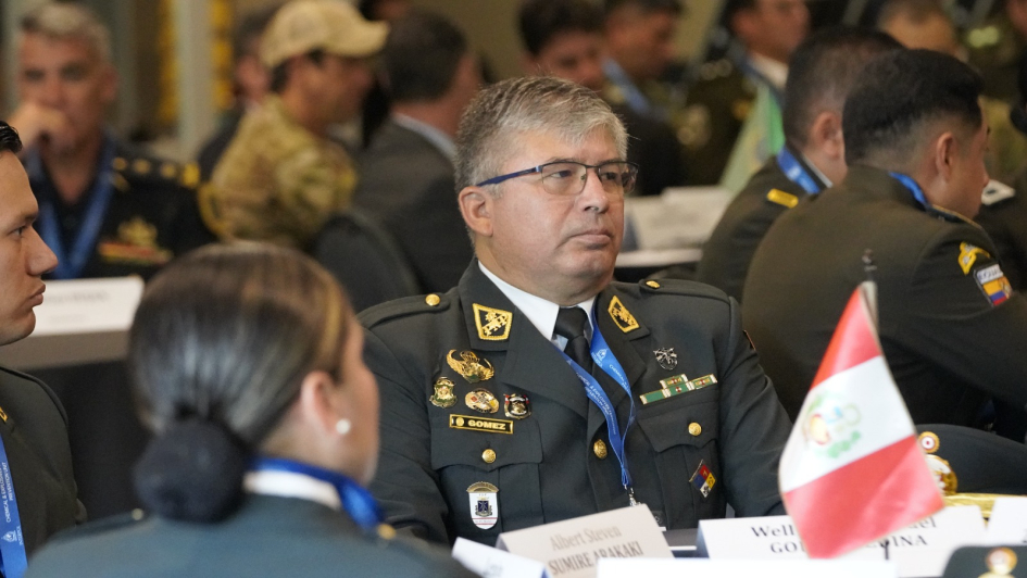 Proyecto Watchmaker: un trabajo continuo y regional