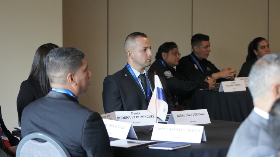 Proyecto Watchmaker: un trabajo continuo y regional