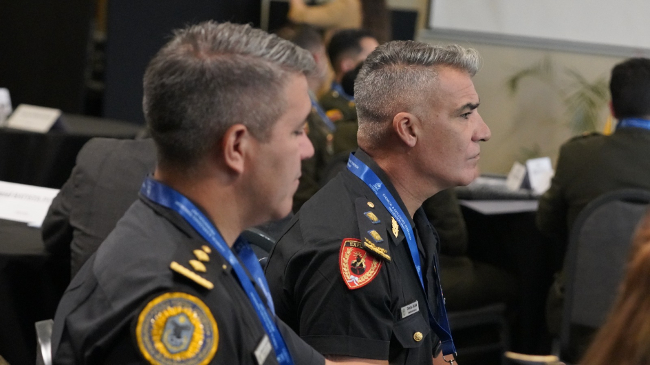 Proyecto Watchmaker: un trabajo continuo y regional