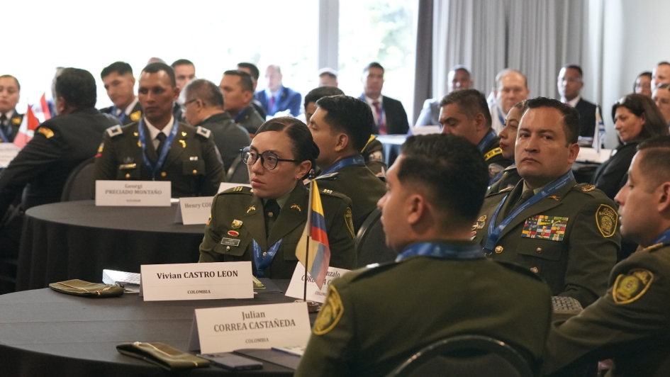 Proyecto Watchmaker: un trabajo continuo y regional