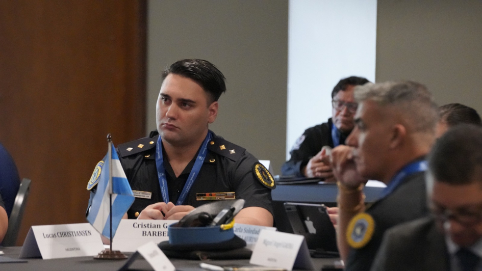 Proyecto Watchmaker: un trabajo continuo y regional