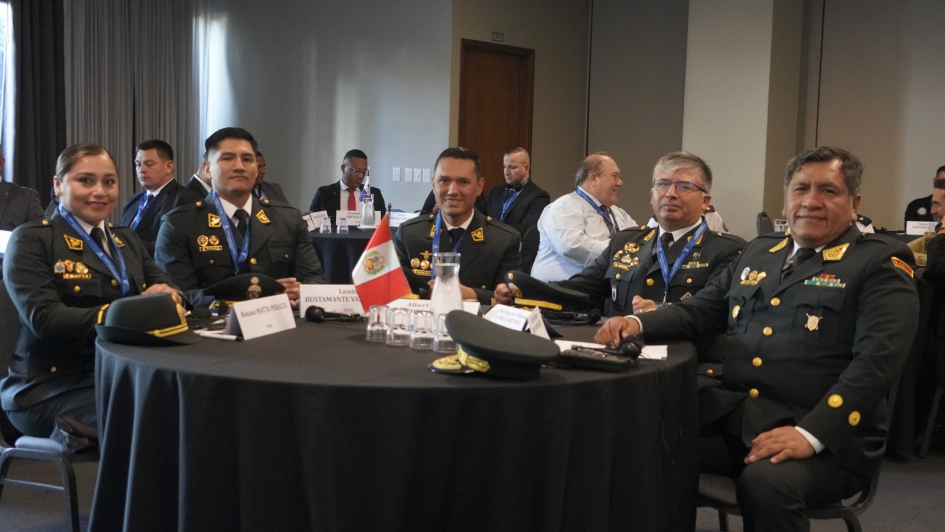 Proyecto Watchmaker: un trabajo continuo y regional