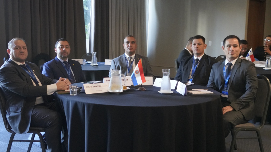 Proyecto Watchmaker: un trabajo continuo y regional