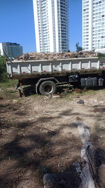 Camiones retirando residuos durante la limpieza.