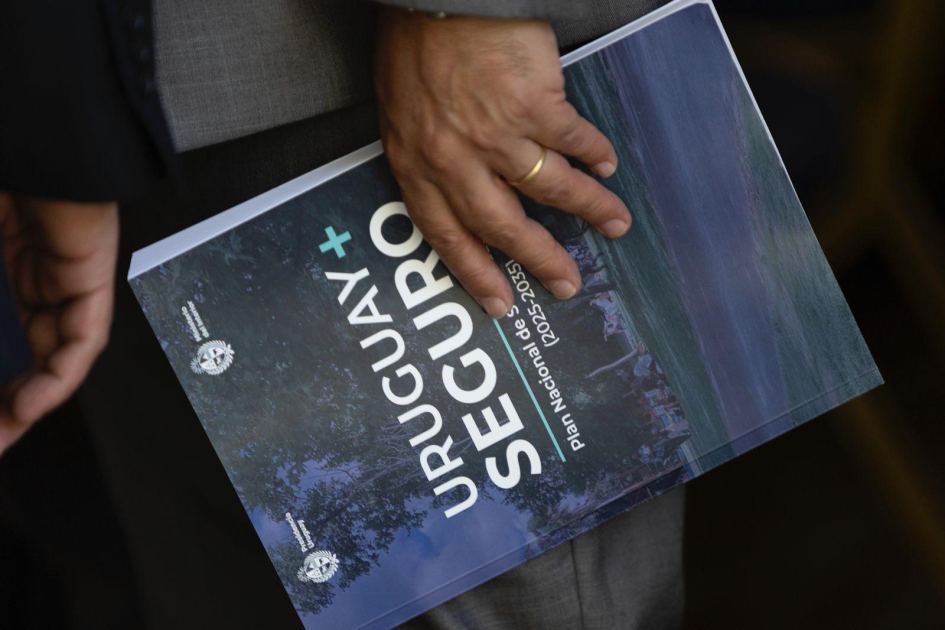 Plan Nacional de Seguridad Pública 