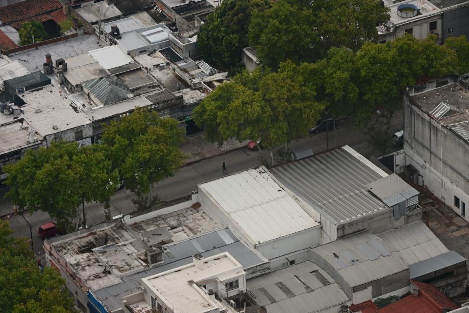 Procedimiento 28 de marzo 