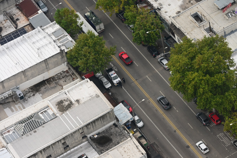 Procedimiento 28 de marzo 