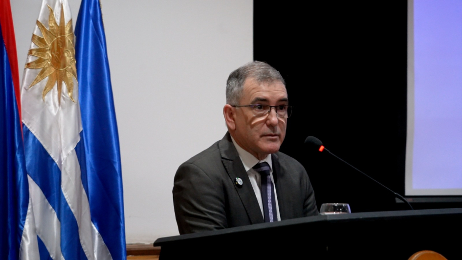 Director de Intevestigaciones en Puesta en marcha del nuevo Plan de Estudios 