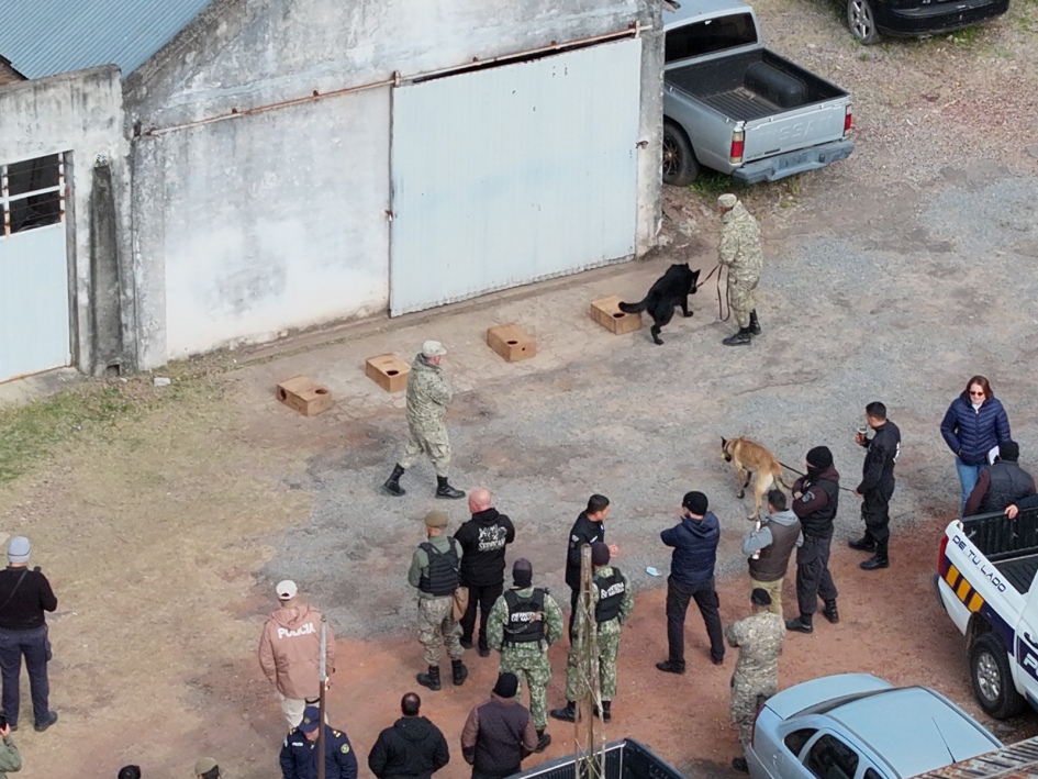 Demostración práctica de detección con binomios K9 Binomios K9 realizan ejercicios de detección durante una instancia práctica del encuentro