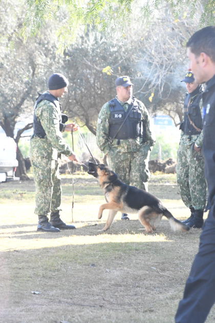 Intercambio de experiencias entre unidades K9 Integrantes de distintas unidades especializadas intercambian experiencias durante una pausa