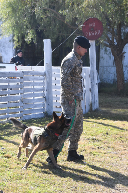 Preparación de binomio K9 para ejercicio operativo Un guía y su can esperan el inicio de una demostración práctica de detección durante el encuentro