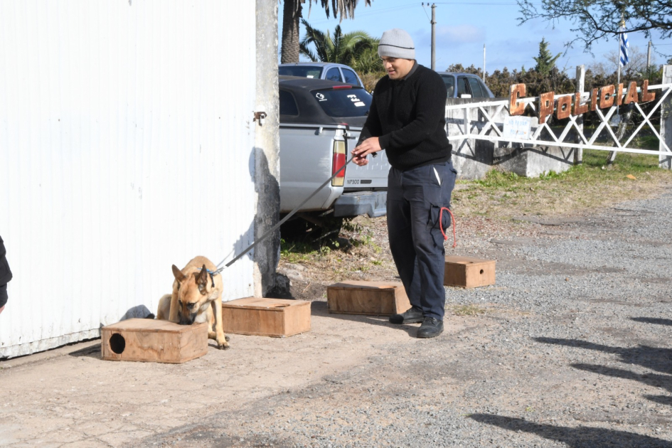Prácticas de detección con binomios participantes Un binomio K9 realiza ejercicios de detección utilizando cajas de entrenamiento