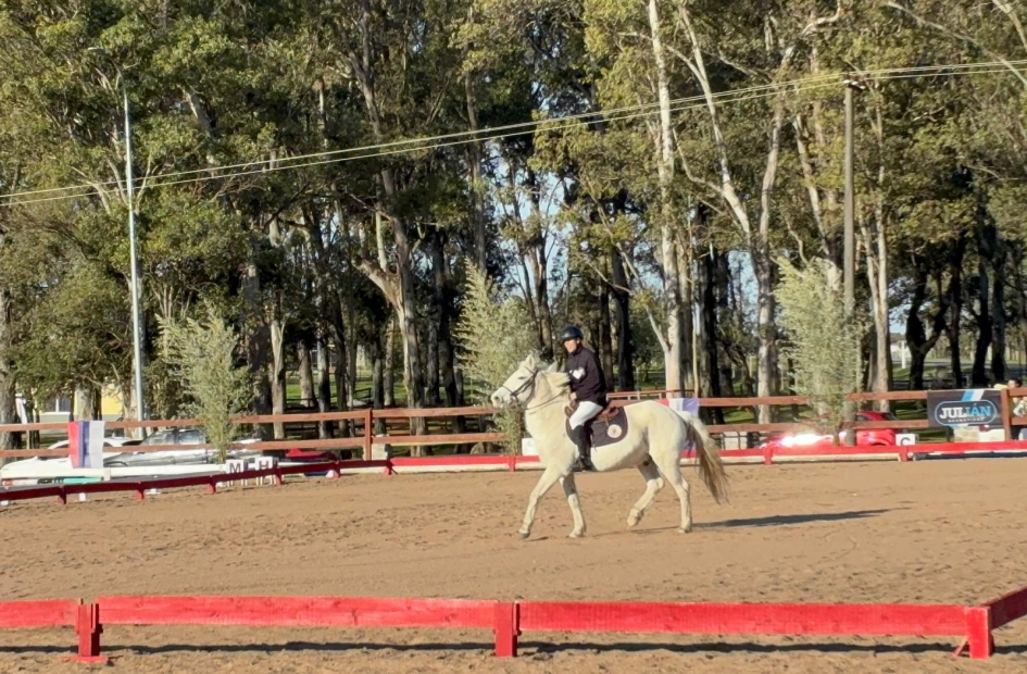 Ejercicio de competencia Jinete de equitación adaptada montado a caballo blanco en circuito de competencia