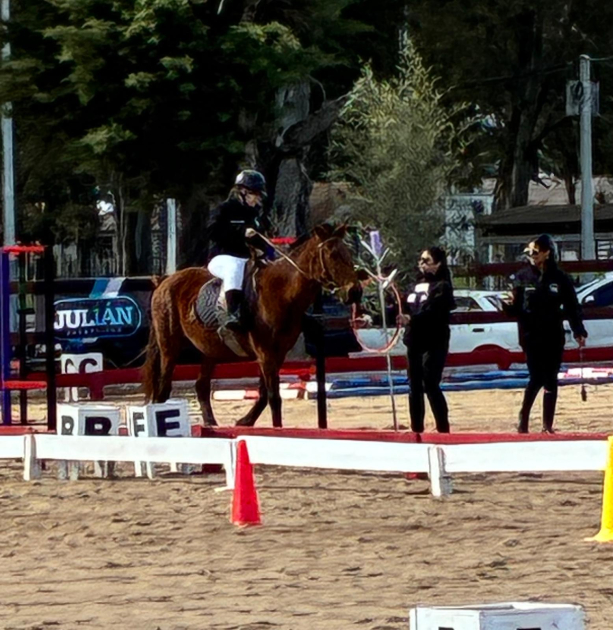 Participante de competencia con caballo en el circuito Jinete de equitación adaptada montado a caballo marrón oscuro en circuito de competencia