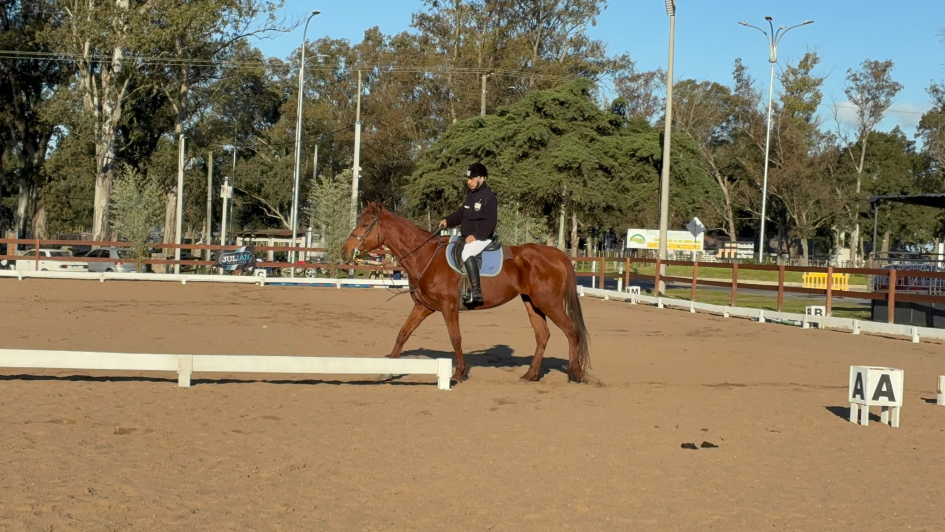 Participante montado en equino dentro del predio Jinete de equitación adaptada montado a caballo marrón en circuito de competencia
