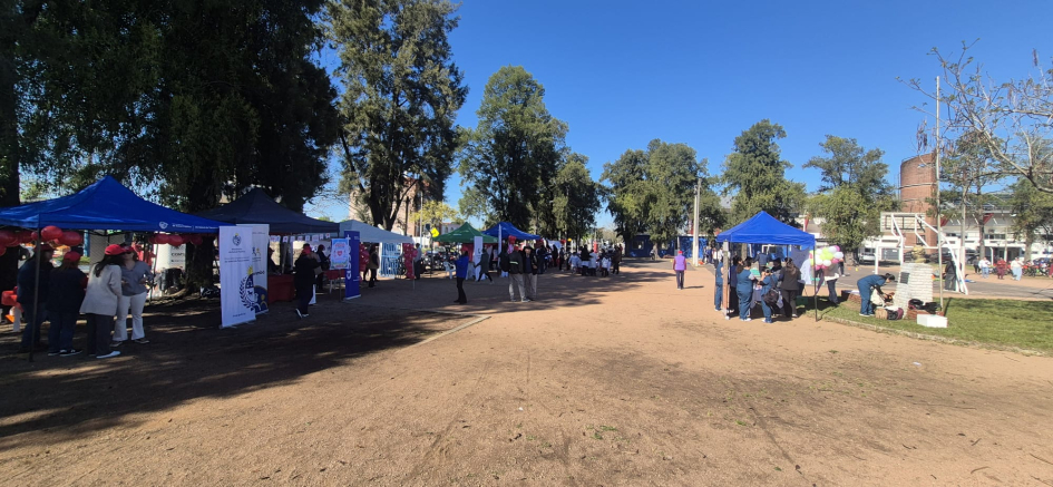 Stands informativos Stands informativos