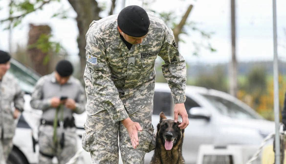 Policía del K9 con can Policía de la guardia republicana de pie indicandole una dirección al can con la mano