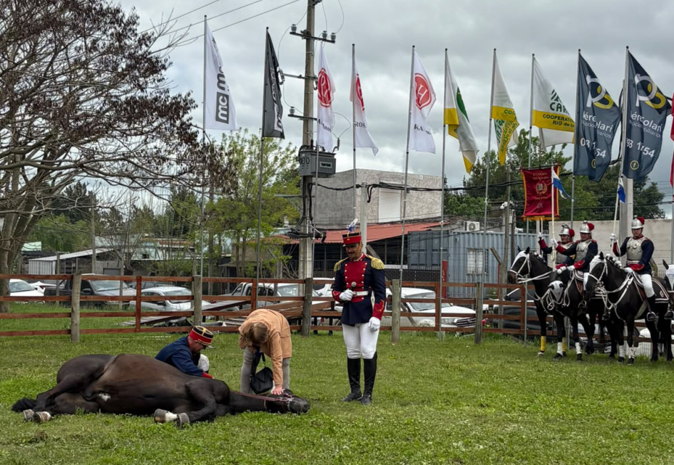 Demostración de mansedumbre Caballo acostado sobre el pasto con su jinete sentado al lado y un par de personas interactuando
