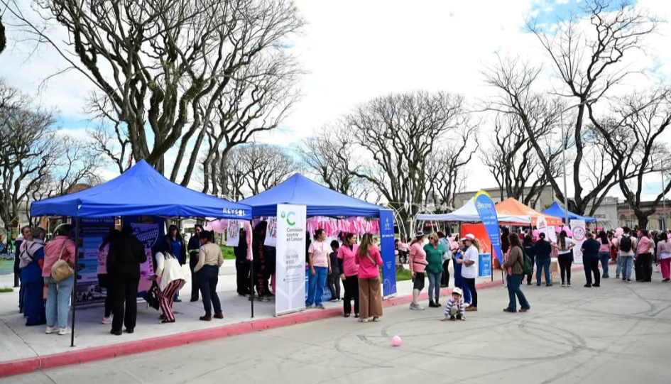 Stands participantes Stands participantes