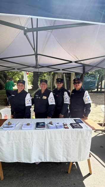 Actividades PCOP Actividades PCOP