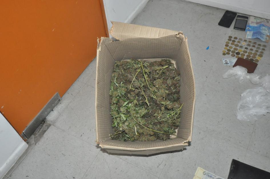 Marihuana incautada Marihuana incautada