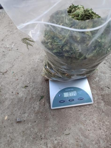 Marihuana incautada Marihuana