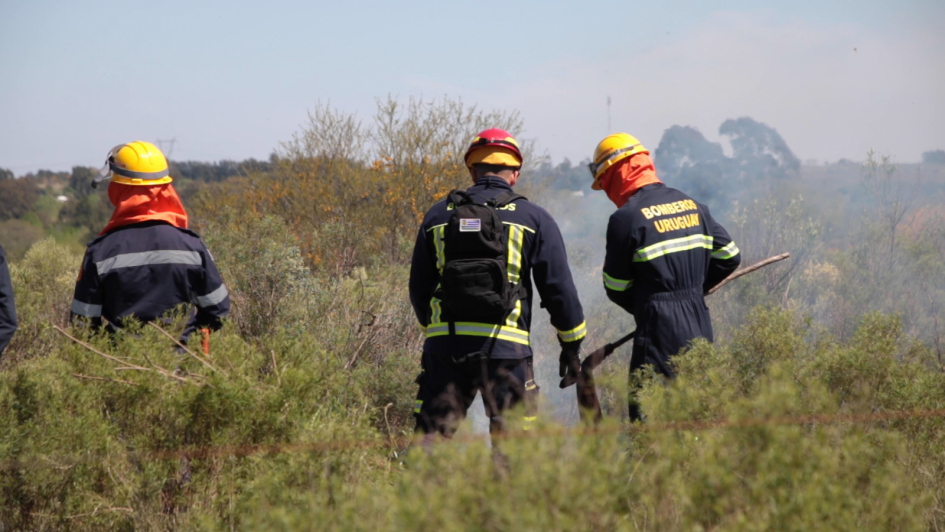 Bomberos trabajando en un incendio Bomberos trabajando en un incendio