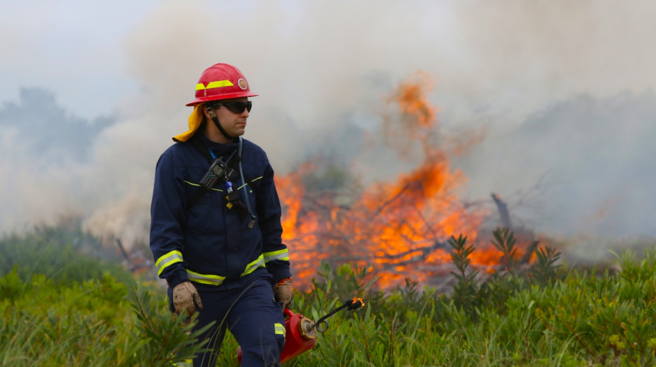 Bomberos trabajando en un incendio Bomberos trabajando en un incendio
