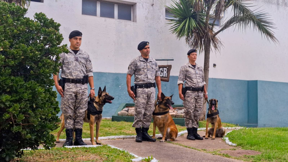 Tres policias de la Unidad K9 formados con tres canes que pasan a retiro Tres policias de la Unidad K9 formados con tres canes que pasan a retiro