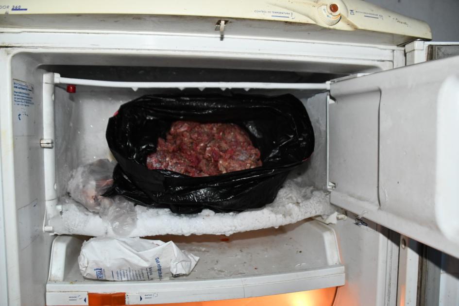 carne en heladera incautada en una vivienda en Operación Capibara carne en heladera incautada en una vivienda en Operación Capibara