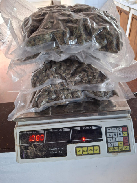pesaje de cogollos de marihuana incautados. arrojando un peso de 1,080 kg. pesaje de cogollos de marihuana incautados. arrojando un peso de 1,080 kg.