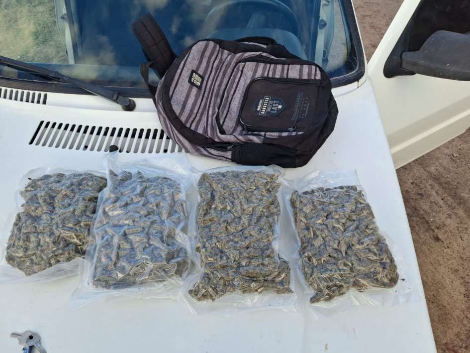 cogollos de marihuana incautados en el interior de una mochila. cogollos de marihuana incautados en el interior de una mochila.