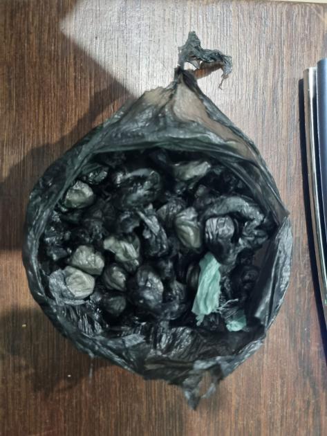envoltorios de clorhidrato de cocaína. envoltorios de clorhidrato de cocaína.
