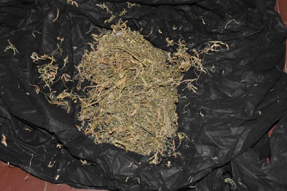 Marihuana incautada Marihuana incautada