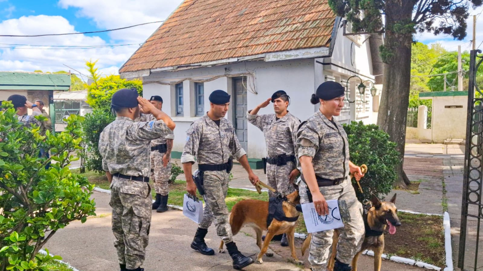 Guardia de honor para canes que pasan a retiro, caminando con su cuidador Guardia de honor para canes que pasan a retiro, caminando con su cuidador