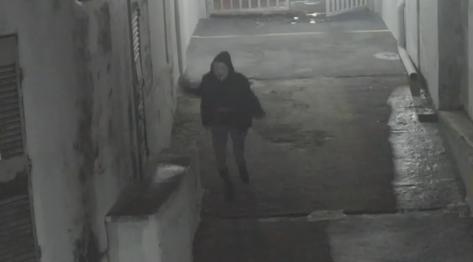 Ingreso al garage antes del hurto Una mujer ingresa caminando a un garage