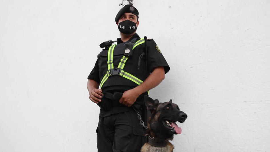 Procedimiento policial Procedimiento policial