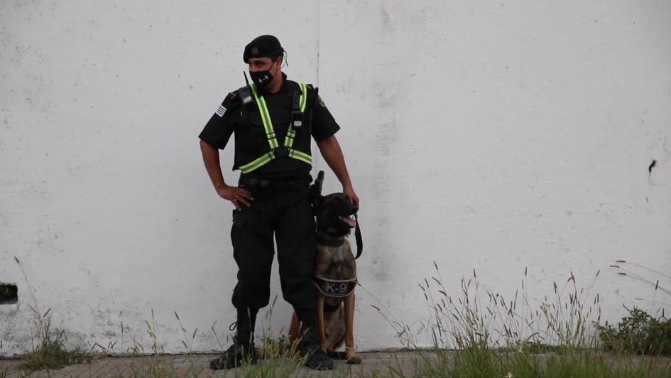 Policía en procedimiento Policía en procedimiento
