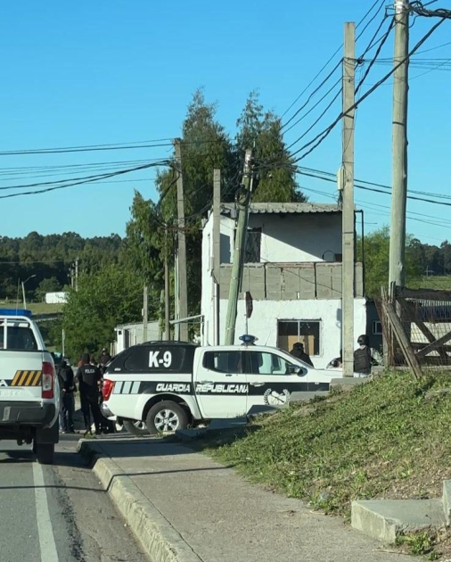 Móvil y personal K9 Móvil y personal K9